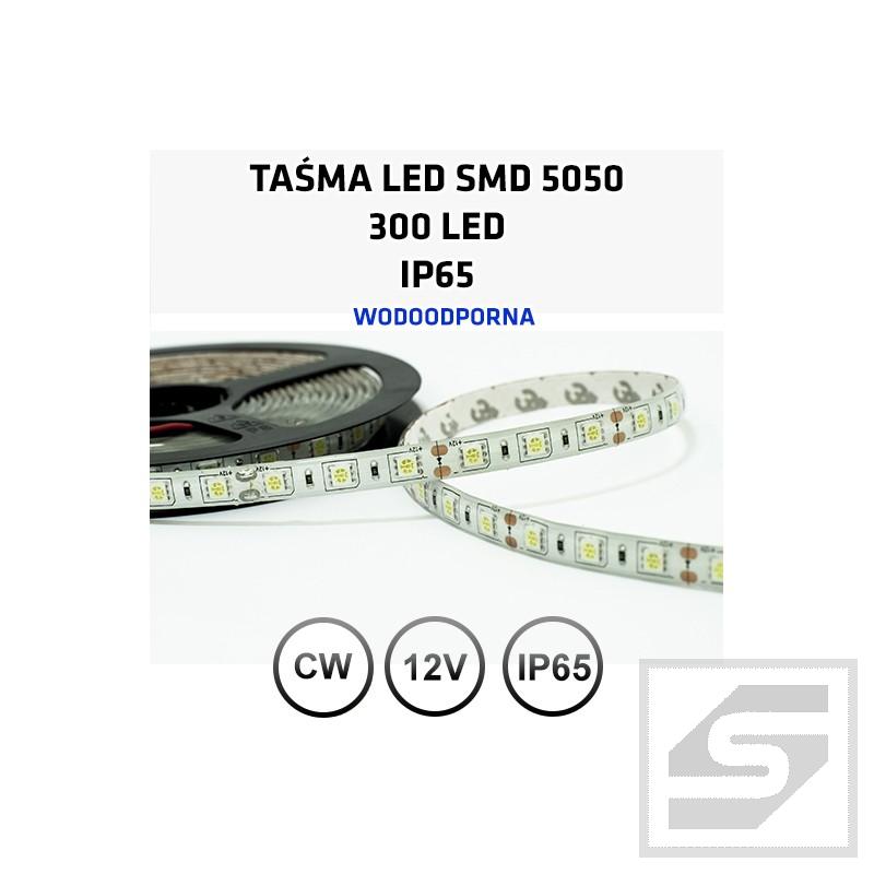 Taśma LED biała zimna300LED/5m 5050 12VDC/IP65/72W LEDstrip5050CW/60