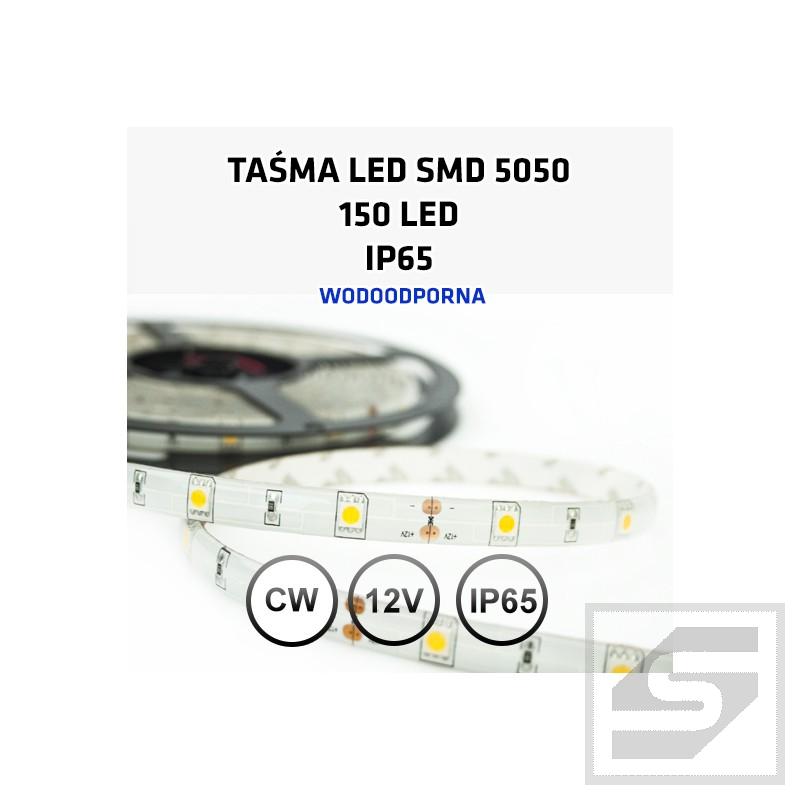 Taśma LED biała zimna150LED/5m 5050 12VDC/IP65/36W LEDstrip5050CW/30