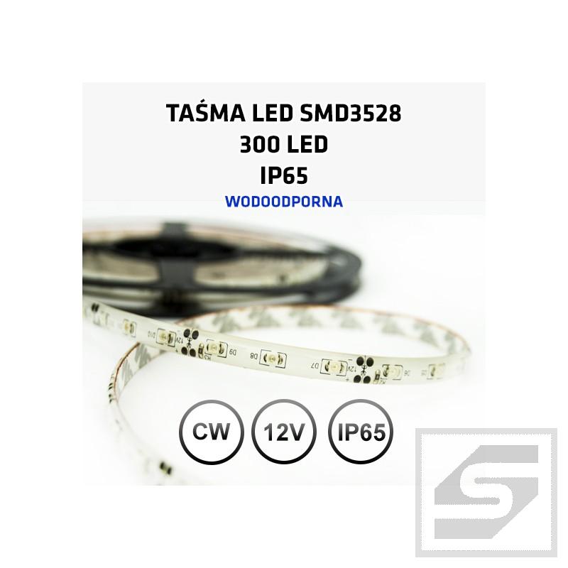 Taśma LED biała zimna300LED/5m 3528 12VDC/IP65/24W LEDstrip3528CW/60